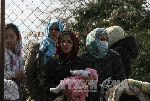 Europa benötigt Flüchtlinge zur Wirtschaftsentwicklung - ảnh 1